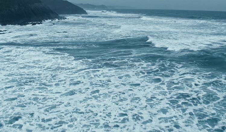 The Sea